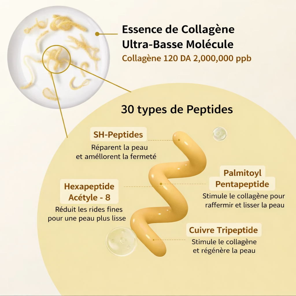 Ampoule Coréenne à la Soie & Peptides — Lifting Intense et Peau Visiblement Raffermie